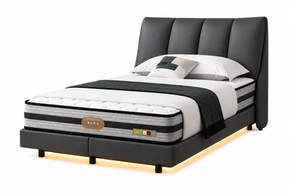Veyra Floating Bed with Led Lights